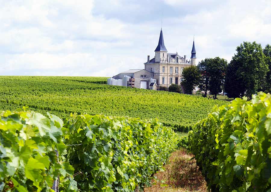 france wine tour package